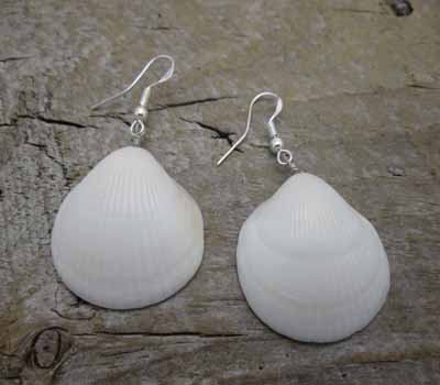 American Indian Earrings - White Clam Shell
